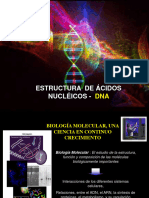 Bases Físicas de La Herencia