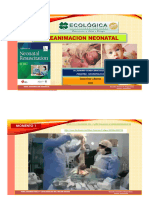 PDF Reanimacion Neonatal 2022