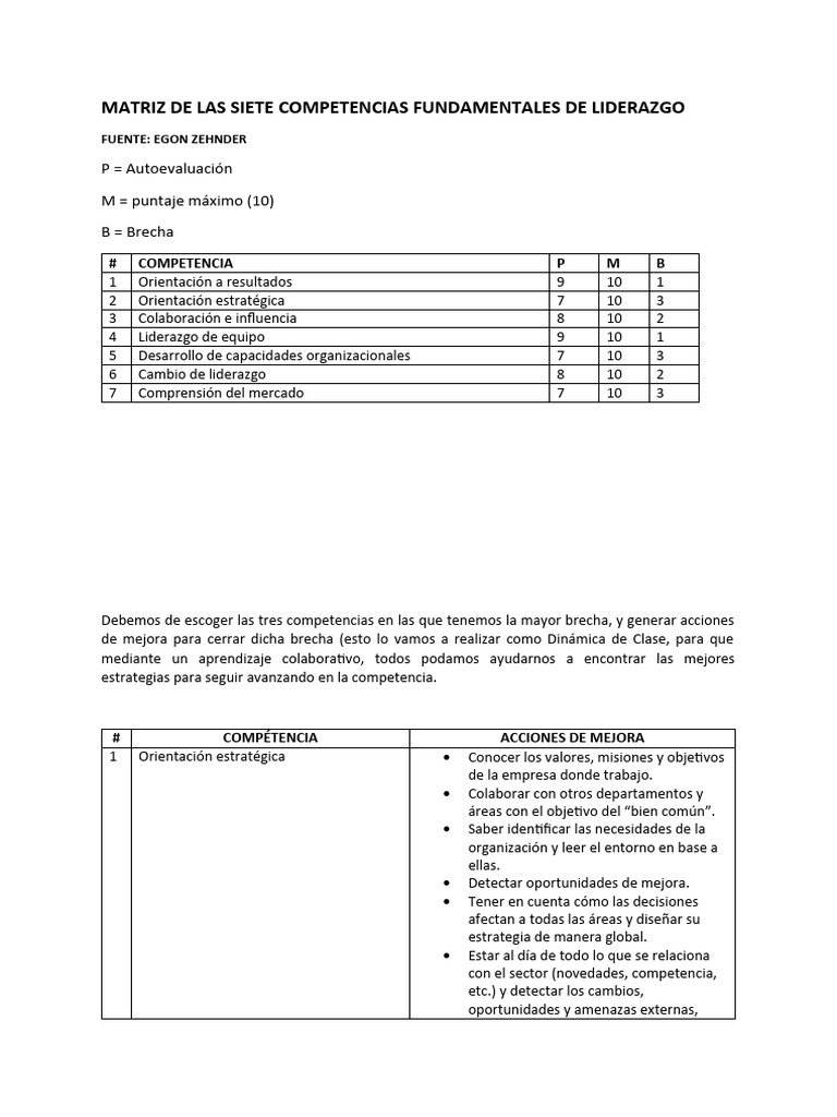 Mejora de Competencias de Liderazgo | PDF | Business | Economias