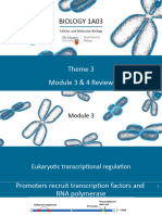 Theme3Module3and4ReviewLecture-BIO1A03Fall2022