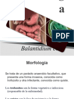 Parasitología-Balantidium Coli.