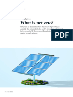 What Is Net Zero