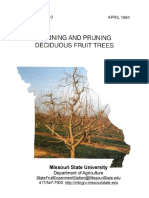 B 40 Training and Pruning Deciduous Fruit Trees