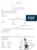 1er Parcial. Histologia