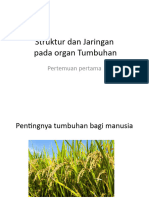 4.struktur Dan Jaringan Pada Organ Tumbuhan