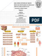 Mapa Conceptual. ST-1