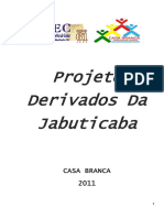 Projeto Derivados Da Jabuticaba