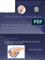 CA de Pancreas Terminda Completa Por Fin