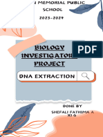 Ivestigatory Project
