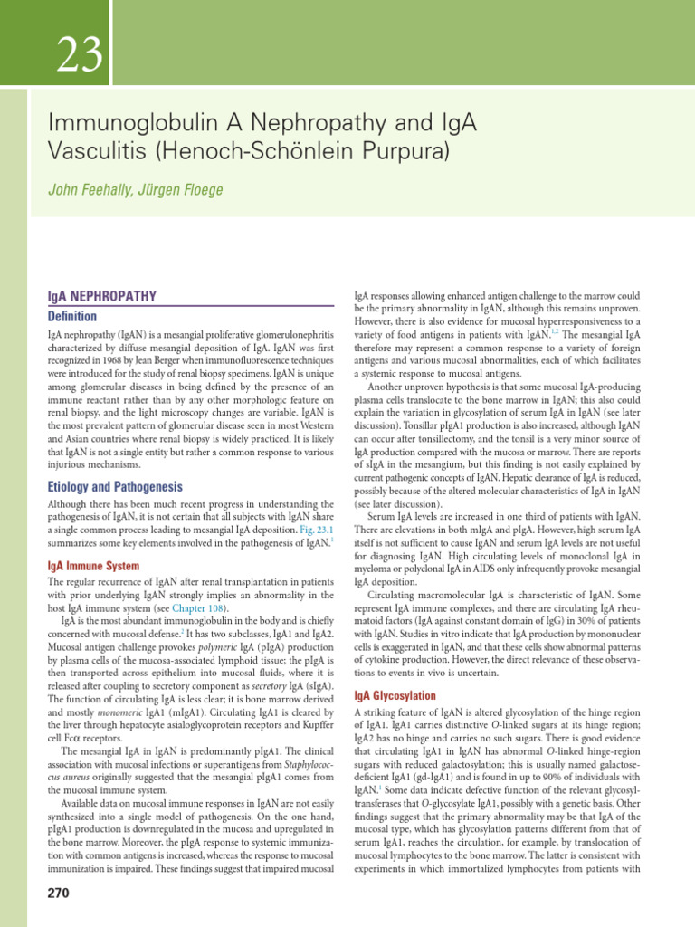 IgA Nephropathy: Pathogenesis and Epidemiology | PDF | Medical ...