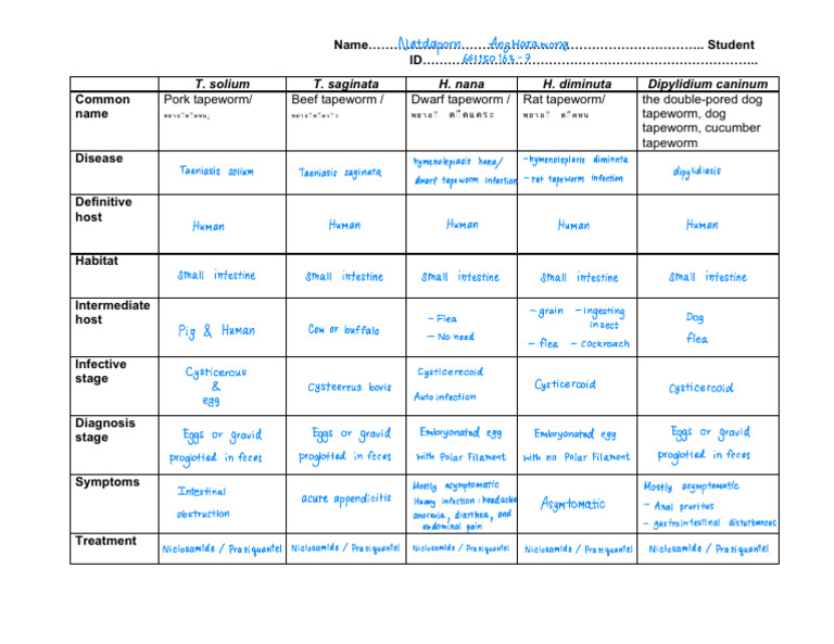 Assignment PS Student 2023 2 | PDF