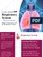 3 Explanation - Respiratory System Presentation - Standard Version