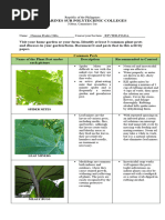 Act 6 - Itle 2