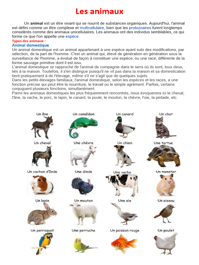 Animaux Domestiques Et Sauvages D finitions PDF Domestication Races