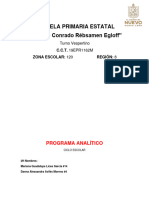 Programa Analitico