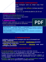 Histogeneza Osului. Osificarea