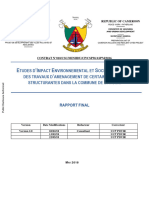 05 09 18 EIES BATOURI Rapport Final