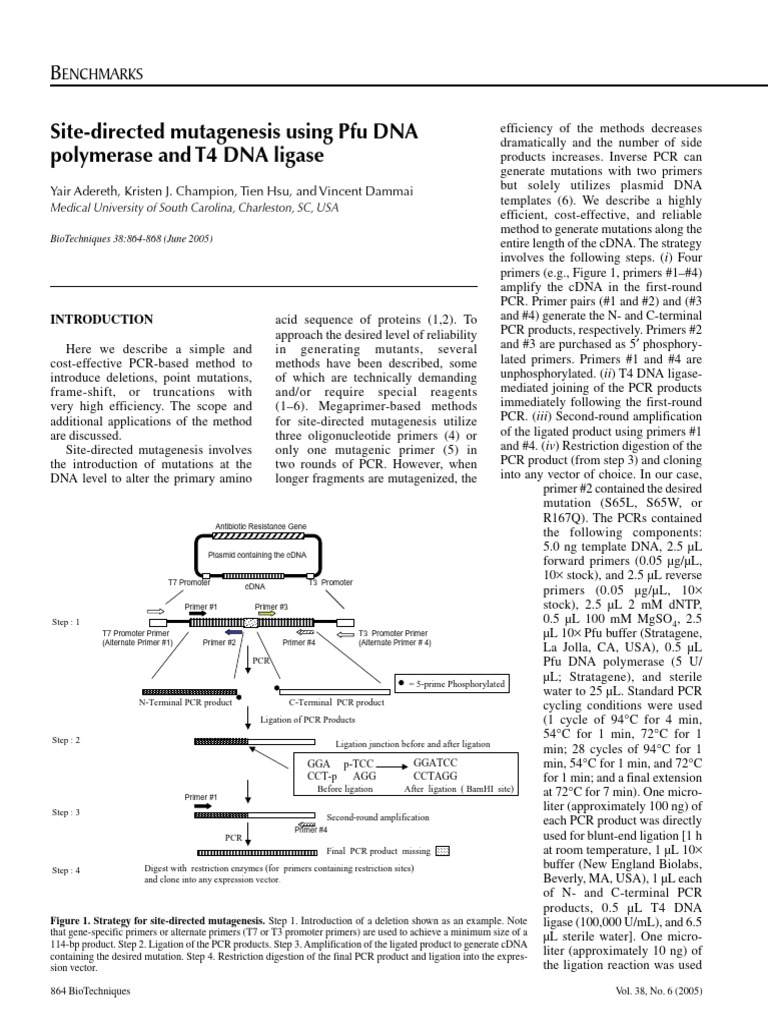 Efficient Site-Directed Mutagenesis Method | PDF | Polymerase Chain ...