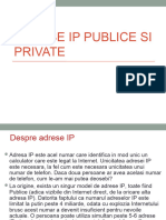 Adrese IP Publice Si Private