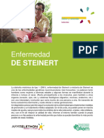 INFORME Steinert REV4069