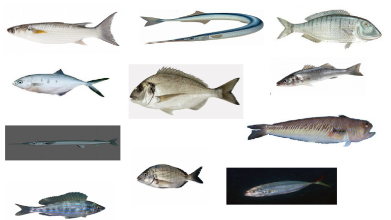 Poisson | PDF