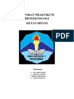 Praktikum Bioteknologi Ketan Hitam