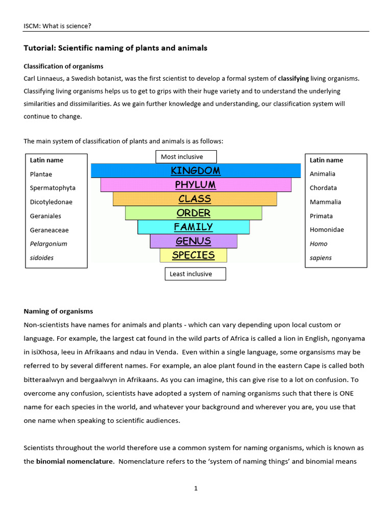 Practical 1 Scientific Names of Plants and Animals PDF Onion Plants