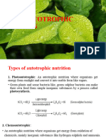 Unit 7. Autotrophic Nutrition