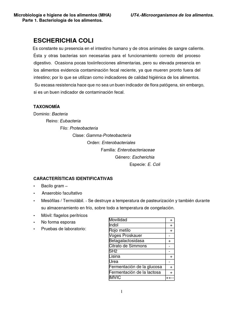 U.t.4. - Parte 1 Bacteriología de Los Alimentos | PDF | Escherichia ...