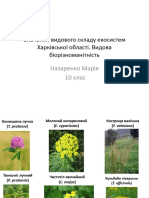 Вивчення видового складу екосистем Харківської області