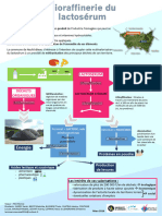 Rapport Final Lactoserum2