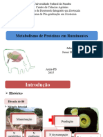 Metabolismo_proteínas