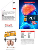 The Amazing Brain