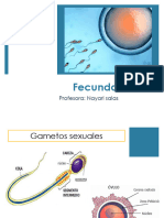 Fecundación