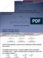 Asam Amino and Protein Online-1.en - Id