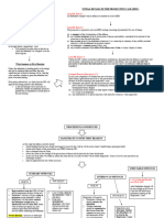 First Hearing in Magistrate 2 Flowchart