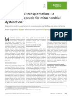 Mitohondrial Transplantation - EMBOrep2020