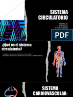 Sistema Circulatorio