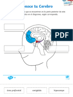 CL Es 1665527689 Hoja de Actividad Conoce Tu Cerebro Mis Emociones Cambiantes - Ver - 1