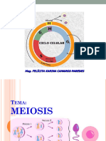 Sesion 5 Teoria Meiosis Iy IIGametogenesis