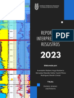 Resumen Interpretación Del Registro.