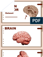 Brain Tumor Dataset