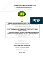 Informe Final Practicas Preprofesionales Macavilca