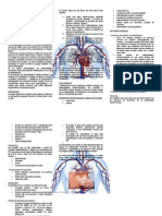 Enfermedades Cardiovasculares