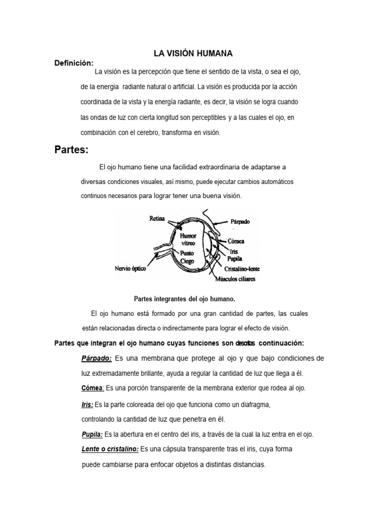 La Vision Humana | PDF