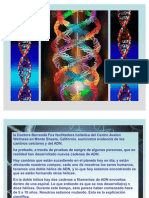 Activacion-ADN