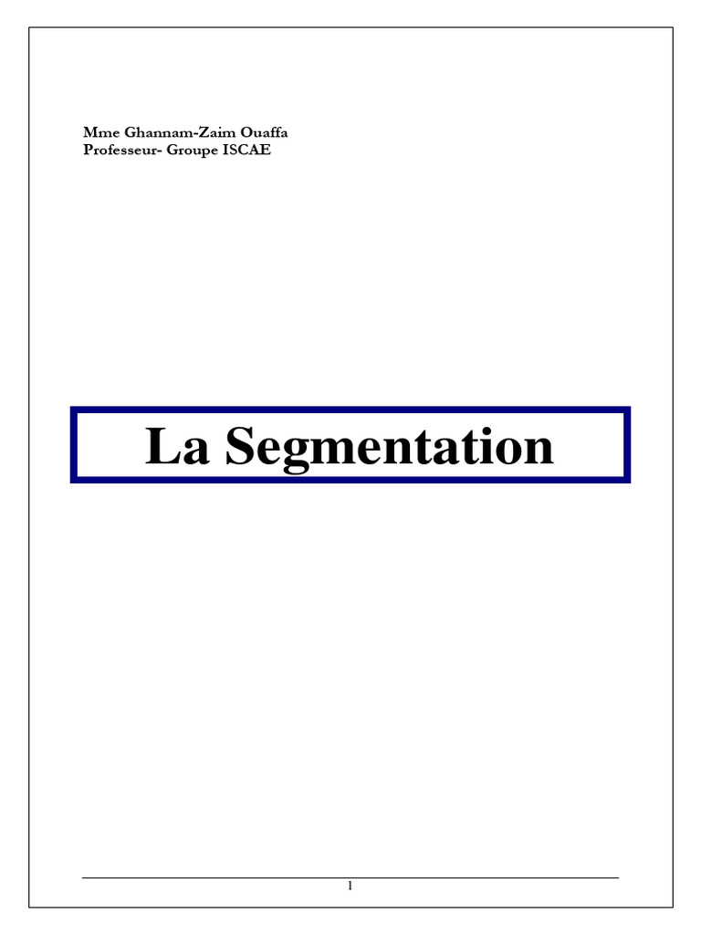 La Segmentation - SÃ©minaire Intra | PDF