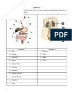 Martin Diaz Oscar Tarea1.2APB