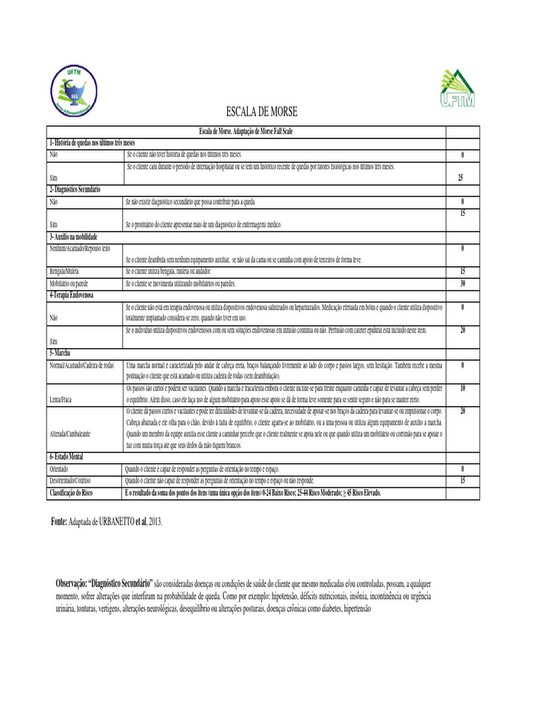 Escala de Morse: Classificação de Quedas | PDF | Vertigem | Epidemiologia