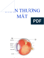 6. Chấn Thương Mắt